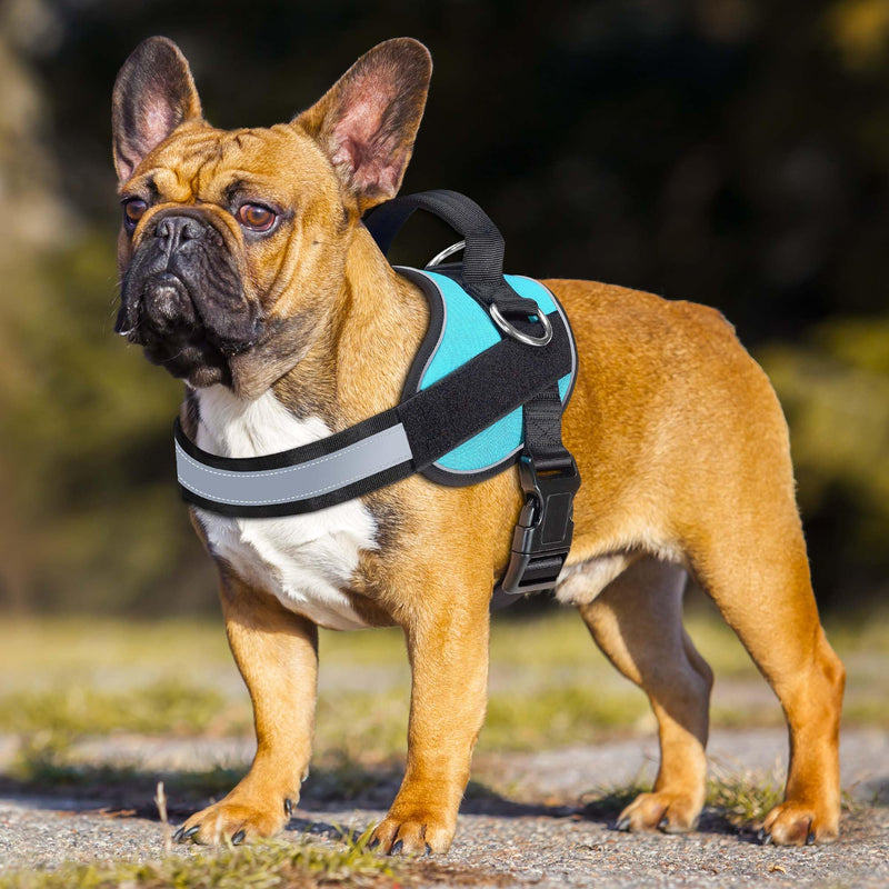 Haapaw Essential Dog Harness, No Pull Pet Vest with 3 Leash Clips, No Choke, Reflective, Adjustable and Padded, for Easy Walking and Training for Medium Dogs(M, Blue) M - PawsPlanet Australia