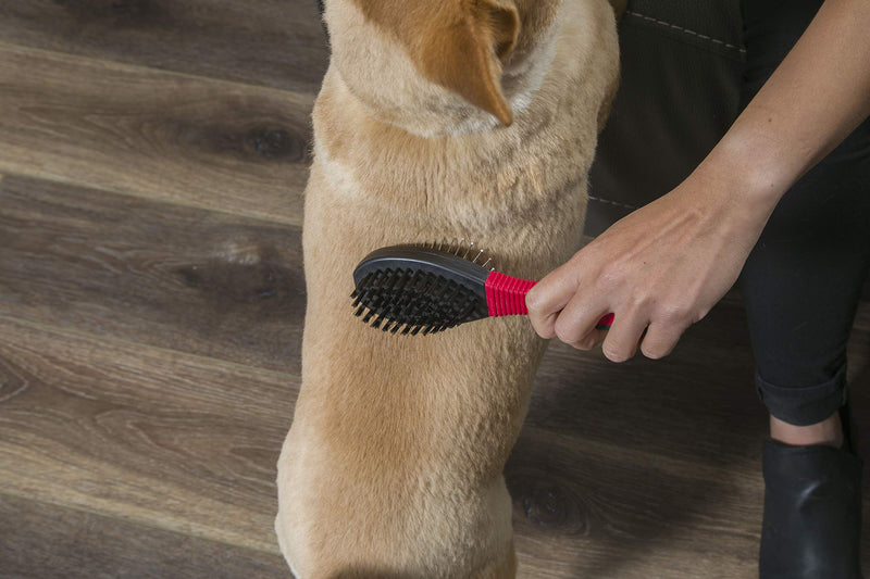 FURemover Grooming Brush & Comb Set, Suitable for All Coats, Includes One Flea Comb and One Dual-Sided Brush with Soft Bristles and Rounded Pins, Black and Red (1208A12-AMZ) - PawsPlanet Australia