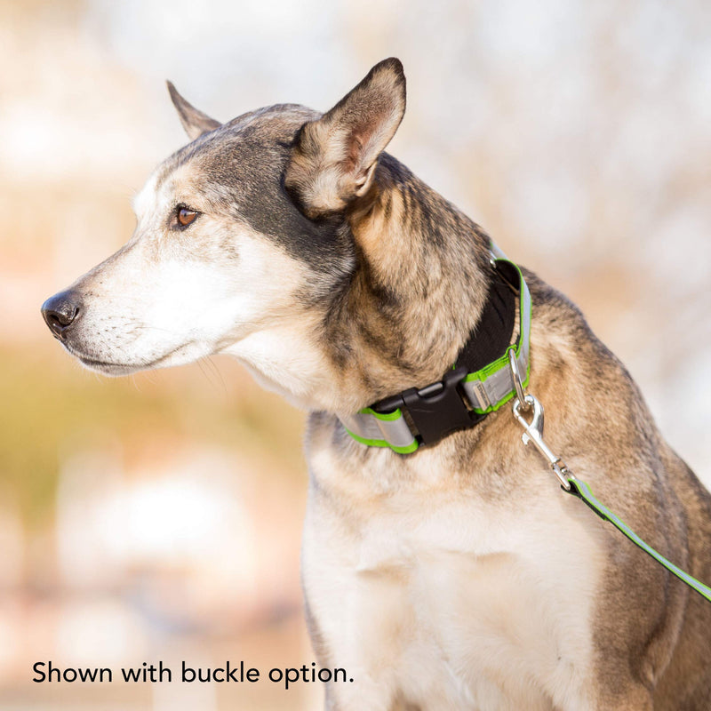If It Barks - 1.5" Reflective Martingale Collar with Quick Snap Buckle for Dogs - Adjustable - Made in USA - Strong, Durable, and Comfy - Ideal for Training - Fits Most Breeds - Small, Pink Small w/Buckle - PawsPlanet Australia