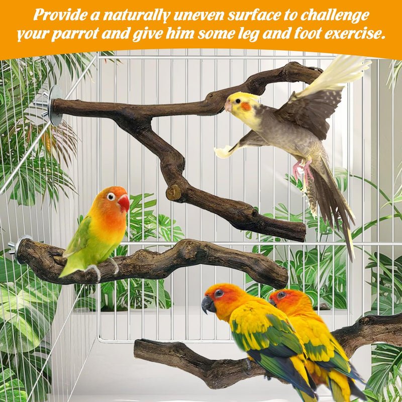 kathson 5pcs Natural Parrot Perch for Cage Wooden Bird Perches Grape Bird Stick Parakeet Climbing Standing Branches Toy Chewable Cage Accessories for Small Budgies Cockatiels Lovebirds Budgies 5 PCS