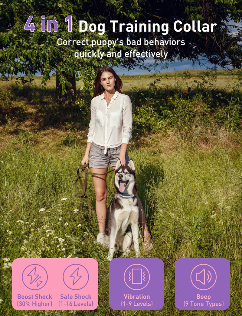 Dog Shock Collar 2 Dogs (10-120lbs) - 3300Ft Dog Training Collar with Beep, Vibration & Shock, IPX7 Waterproof Rechargeable Dog Shock Collars for Small Medium Large Dogs, Security Lock, Purple Purple 2pc - PawsPlanet Australia