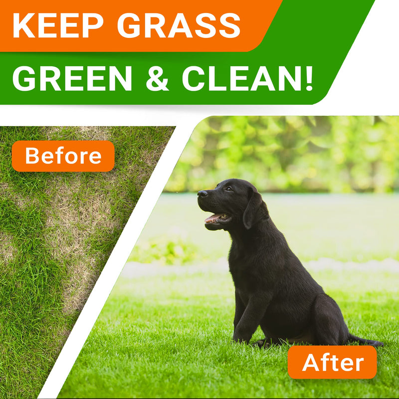 STRELLALAB Green Grass Chews - Pee Grass Spot Saver Caused by Dog Urine - Urine Neutralizer for Lawn, Gut Health Probiotics & Digestive Enzymes,Lawn Burn from Dog Urine, Grass Burn Spot Chews Chicken Liver Green Grass 120ct