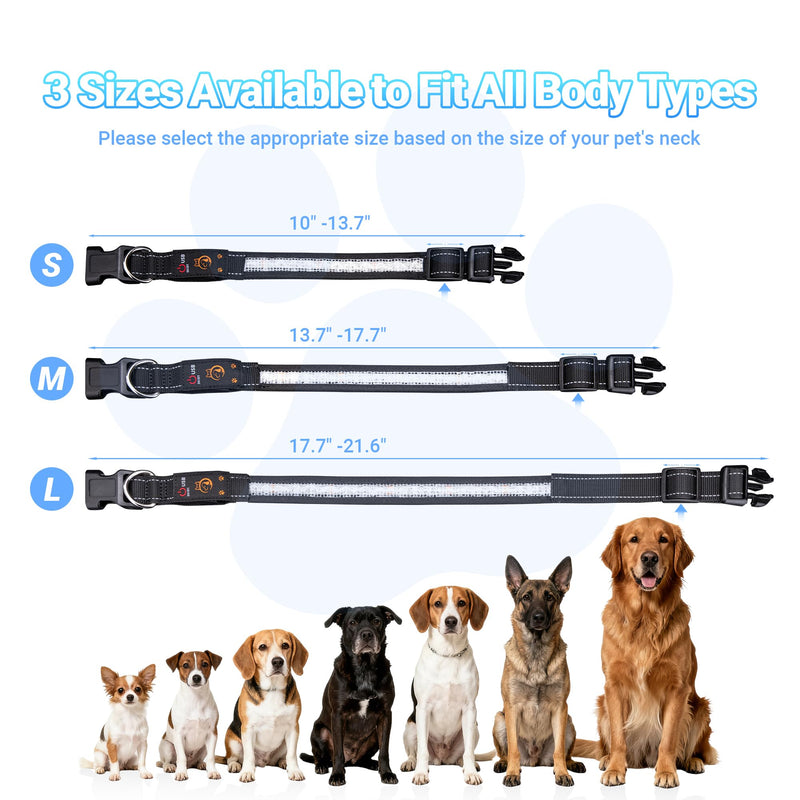 Light Up Dog Collar, USB Rechargeable, Waterproof LED Dog Collar with Remote Control, Adjustable Strap, Suitable for Small, Medium, and Large Dogs (Medium) - PawsPlanet Australia