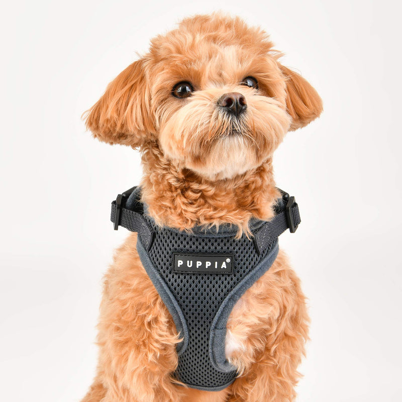 Puppia Authentic Puppia Ritefit Harness With Adjustable Neck, Camo, Medium - PawsPlanet Australia
