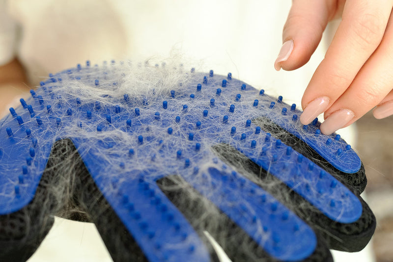 PAIR of Low-Cost Pet Grooming Gloves - Superior Care for Your Furry Friends. Ideal for Grooming, Deshedding, Bathing & Massaging Your Dogs & Cats with Long/Short/Curly Fur - Blue - PawsPlanet Australia