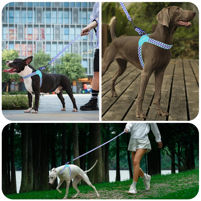 Kazazoo No Pull Small Dog Harness and Leash Set, Adjustable Puppy Soft Vest Harness with Breathable Mesh Padded, Reflective Lightweight Harness with Buckle for Extra Small Medium Dogs, Blue Plaid XS - PawsPlanet Australia