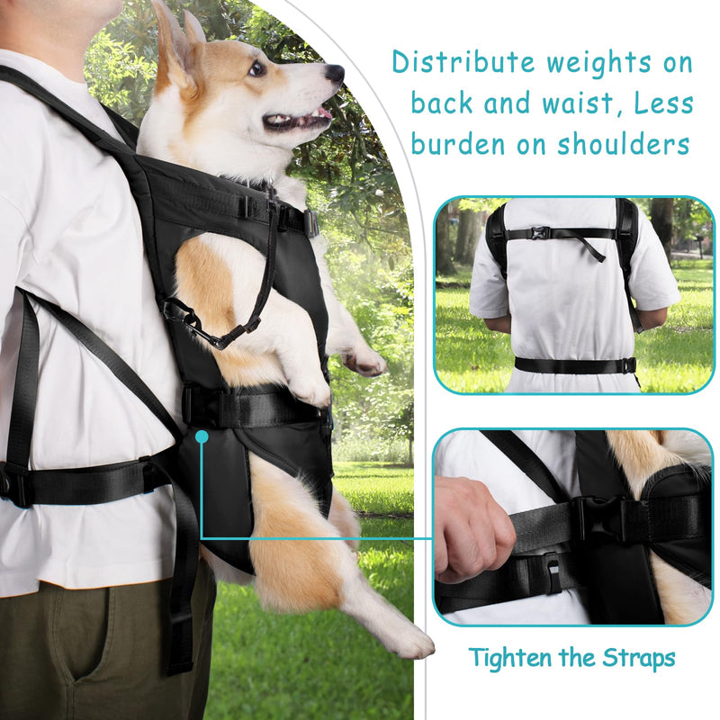 PetBonus Pet Front Dog Carrier Backpacks, Adjustable Dog Backpack Carrier, Legs Out Easy-fit Dog Chest Carrier for Medium Small Dogs, Hands Free Dog Front Carrier for Hiking, Cycling (Black, L) Black Large - PawsPlanet Australia
