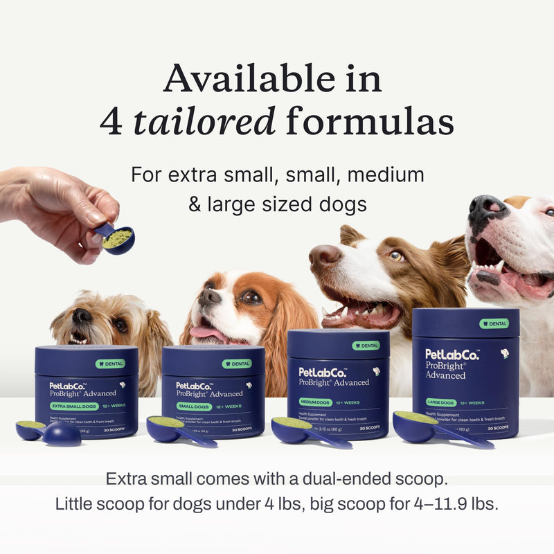 PetLab Co. ProBright Advanced Dental Powder - Dog Breath Freshener - Teeth Cleaning Made Easy – Targets Tartar & Bad Breath - Packaging May Vary - Formulated for Extra Small Dogs - PawsPlanet Australia