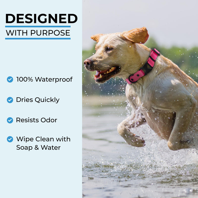 Light Duty Rivet Biothane Dog Collar - Pink, Waterproof, Odor Proof, Lightweight, Made in the USA, Curved Quick Release Plastic Buckle, Medium 12-15" Neck W 3/4" x L 12-15" - PawsPlanet Australia