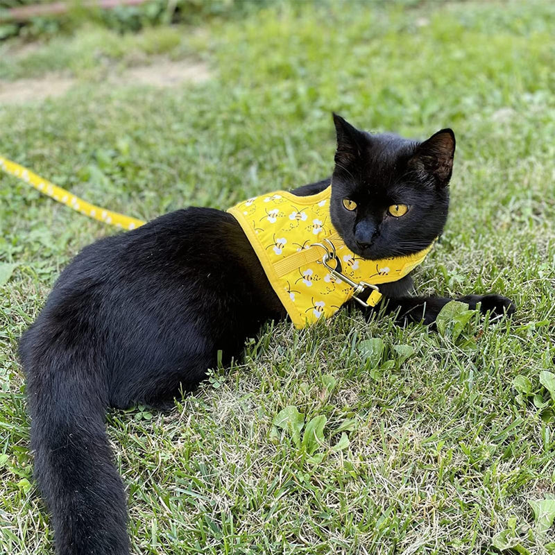 BINGPET Cat Harness with Leash and Collar for Walking - Escape Proof with 59 Inches Leash - Adjustable Soft Vest Harnesses for Medium Large Cats Bee - PawsPlanet Australia