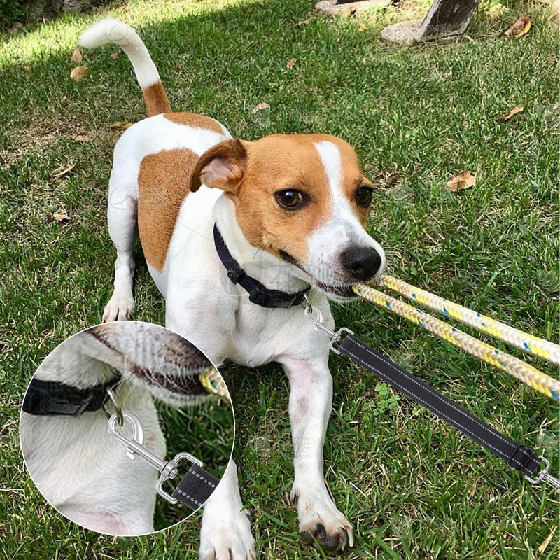 2 Pcs Dog Collar Safety Clip, Dog Backup Safety Strap Harness Connector, Dogs Leash Safetys Clips,Adjustable Prong Backup Clips, Adjustable Reflective Nylon Collar for Dogs Harness - PawsPlanet Australia