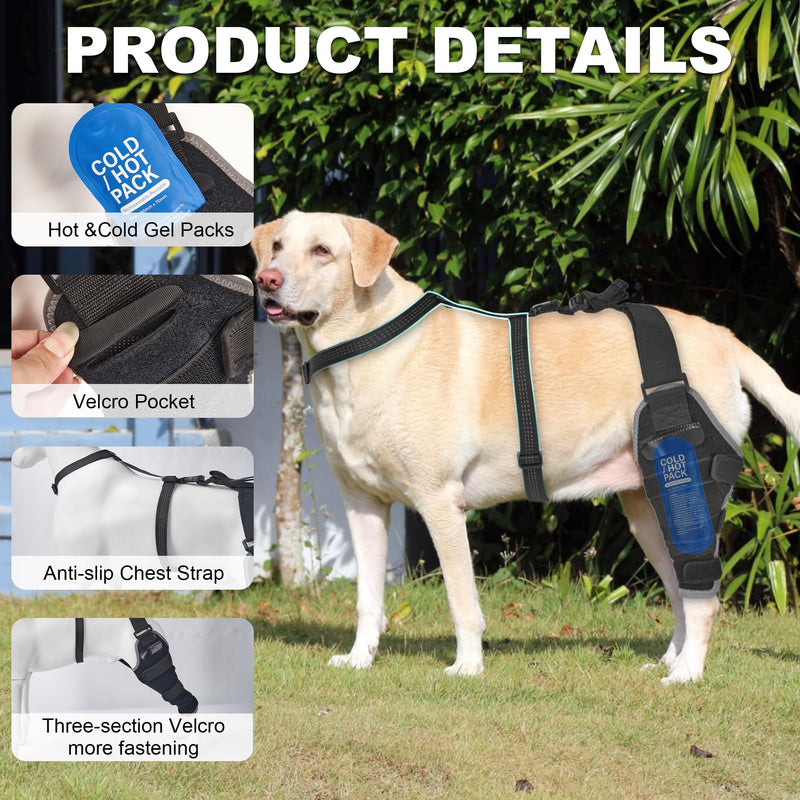 Dog ACL Brace Hind Leg, Hot/Cold Compress Dogs Knee Brace for Joint Pain, Knee Discomfort, Removable Gel Packs Pet Leg Brace, Rear Left Leg, L