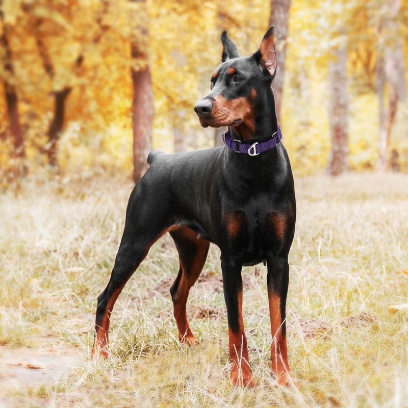 Martingale Collar for Large Dogs with No Buckle,Reflective Nylon Padded Comfort Safe Dog Collar for Training,Nighttime Walking & Overexcited Pulling Control Dogs,Purple L Z L (Neck 16"-22") - PawsPlanet Australia