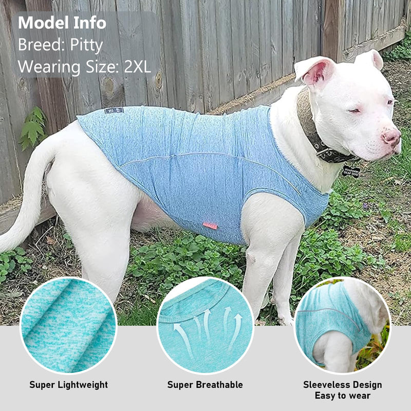 KYEESE 2Pack Reflective Dog Shirt, Lightweight Sun Protection Dog T Shirts for Small Dogs, Breathable Sleeveless Pet Tank Top Summer Dogs Clothes for Night Walking Outdoor, Lake Blue+Rose Red, M Medium (7-13lbs) 8# 2Pack (Lake Blue+Rose Red) - PawsPlanet Australia