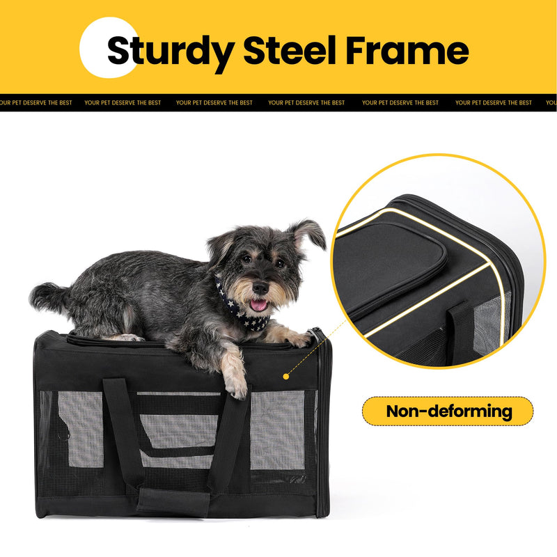 Cat Carrier Airline Approved, Soft-Sided Dog Carrier with Inner Safety Leash, Pet Transport Carrier for Small-Medium Cats Puppies up to 15 Lbs, Collapsible Travel Kitten Carrier Bag -BlackM Medium Black - PawsPlanet Australia