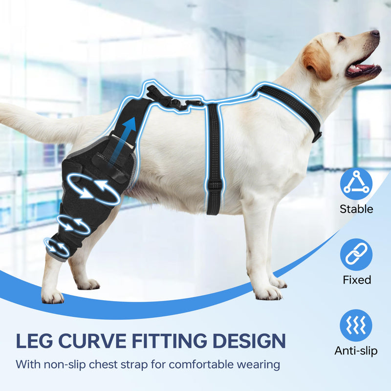 Dog Knee Brace for Back Leg - Adjustable Breathable Canine Leg Wrap with Hot & Cold Gel Packs - Supports Large & Medium Dogs with Arthritis, Hip Dysplasia, ACL Injuries M right leg