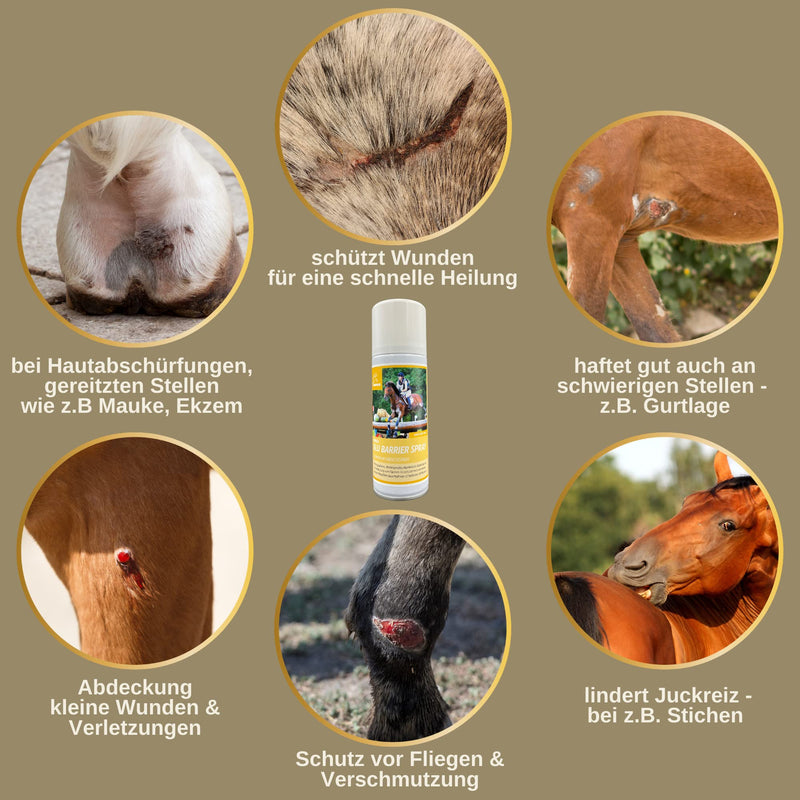 EMMA Wound Silver Spray for Dog Cat Horse 2 x 0.2 L Spray Plaster for Wound Protection - Silver Spray Wound Care for Eczema Mauke Itching - Wound Spray Dog & Cat - Protective Film for Irritated Skin