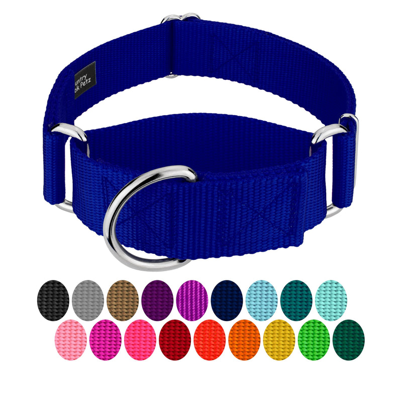 Country Brook Petz - HossFit Jr Wide Martingale Dog Collar - Training Collar with No Buckle - Service Dog Collar for All Pups - Vibrant, Colorful Collection (Royal Blue, Large) Royal Blue Large (Pack of 1) - PawsPlanet Australia
