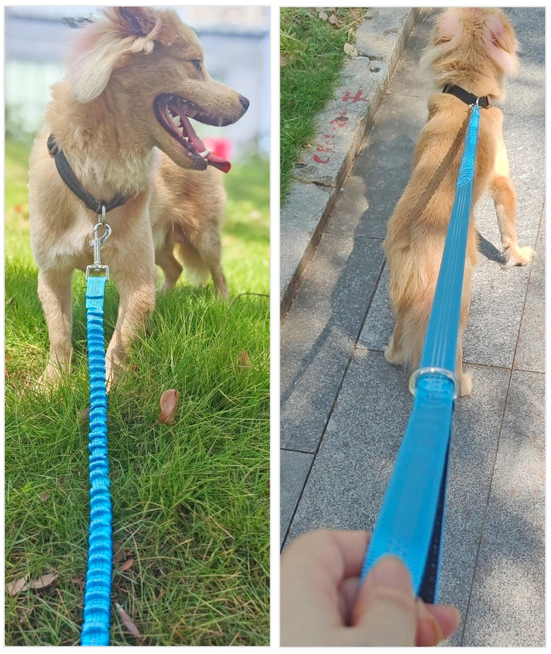 Bungee Dog Leash- 5FT Shock Absorbing & Reflective Nylon Leash | Anti-Pull Training for Small/Medium Dogs | 2cm Wide, 6 Colors (Teal) Teal - PawsPlanet Australia