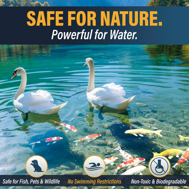 Outdoor Water Solutions Lake and Pond Dye Water Soluble Pack – Easy Throw & Go Pond Colorant – Safe, Non-Toxic Powder – Treats 1/4 Acre – Natural Blue Pack of 1 - PawsPlanet Australia