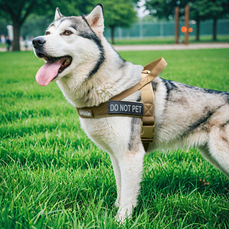 EXCELLENT ELITE SPANKER No Pull Dog Harness Padded Military Patrol Vest Adjustable Nylon Small Service Walking Dog Harness with Handle for Training Running(BLK-M) M-(Chest 25.5-31.5") BLK - PawsPlanet Australia
