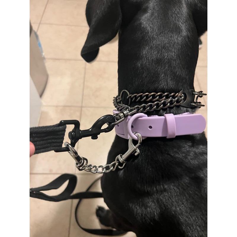 MOZETO Dog Collar Safety Clip, Stainless Steel Heavy Backup for Prong Collar, Dog Harness Collar Leash Connector (7 inches) 7 inches - PawsPlanet Australia