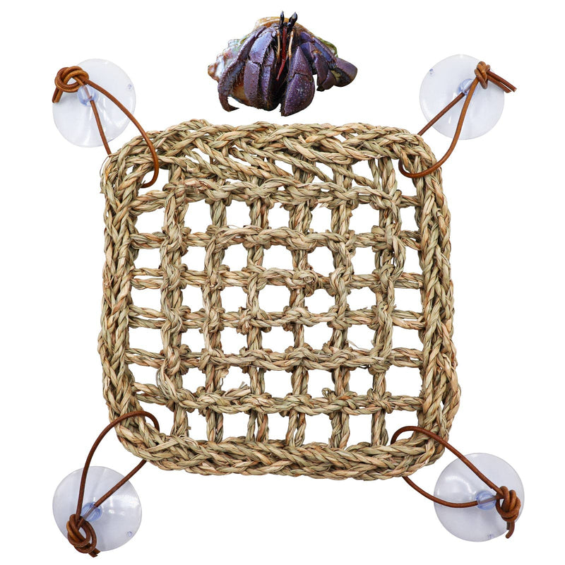 Hermit Crab Climbing Toys, Seagrass Mat Lizard Hammock with Suction Cup, Natural Seagrass Woven Net, Tank Accessories for Small Reptiles Hermit Crab Lizard Hamster Guinea Pig Rats 7.1 x 7.1 Inches Square