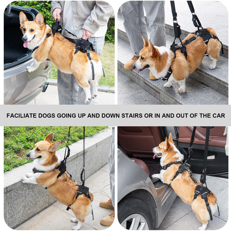 Dog Lift Harness, Dog Lift Sling Carrier with Handle & Shoulder Sling, Support Harness for Rear Back Legs Helps,Disabled,Arthritis,Joint Injuries,Paralysis Up Stairs（Black,Extra Large） Extra Large Black - PawsPlanet Australia
