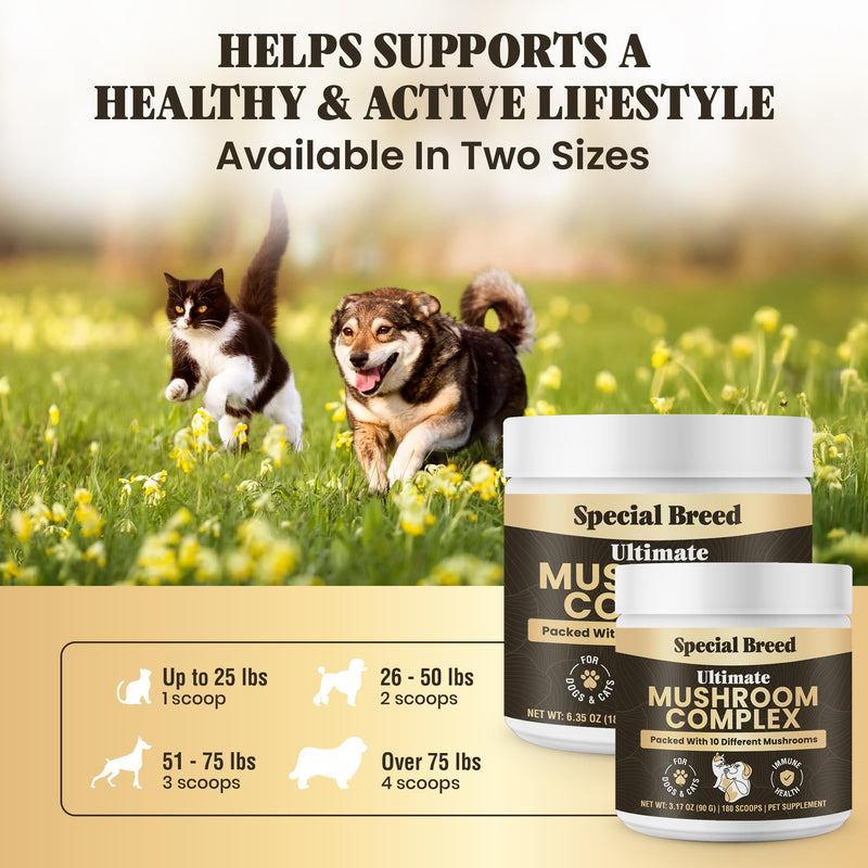 Mushroom Powder for Dogs & Cats - Organic Mushroom Complex for Immune Support, Cognition, Vitality - Ten Mushroom Supplement with Turkey Tail, Lion's Mane, Reishi - 180 Scoops 3.17oz