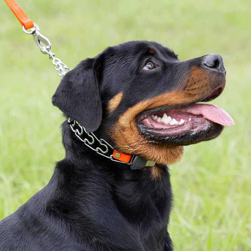 Herm Sprenger Chrome Plated Steel Dog Collar with Short Links and Quick Release ClicLock Buckle and Biothane Insert Made in Germany 20in x 3.0mm (Neck Size up to 16-17in) (Hunter Orange) Hunter Orange - PawsPlanet Australia
