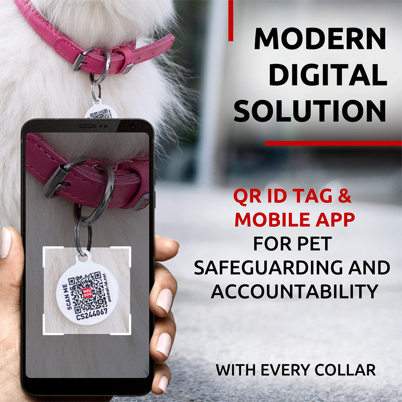 WAUDOG Ultra Soft Rolled Leather Collar - Soft Padded for Small, Medium, and Large Dogs - Puppy Collar for Male and Female Dogs 10" - 13" Neck Pink - PawsPlanet Australia