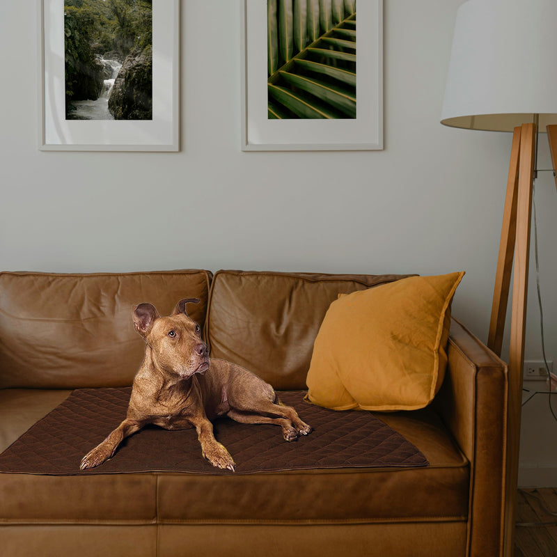 ariika Waterproof Couch Covers for Pets - Durable, Scratch-Resistant - Eco-Friendly Polyester & Cotton Mix, Odor-Free, Ideal for All Breeds - Dog Bed Cover for Sofa, Floor, Car Seats and Bed Brown 47.0"L x 35.0"W x 0.4"Th - PawsPlanet Australia