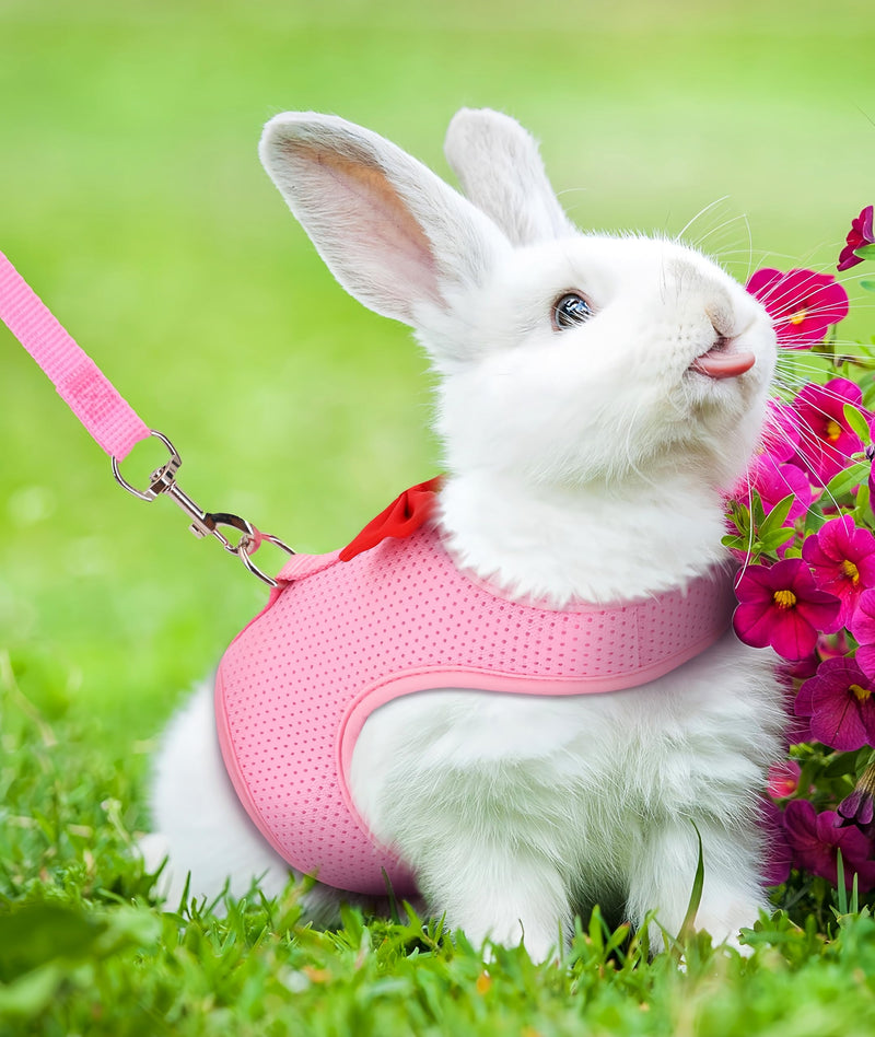 2 Pack Adjustable Bunny Rabbit Harness and Leash Set Breathable Mesh Vest Harness for Rabbits Kitten Ferret Puppy Small Pets Walking Supplies-Grey&Pink,S - PawsPlanet Australia