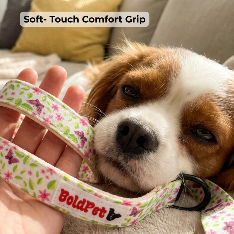 BOLDPET® Dog Collar and Leash Set - Durable Adjustable Puppy Collar with Secure Metal Buckle and 5 ft Length - Professional Grade Polyester for Small Medium and Large Dogs - PawsPlanet Australia