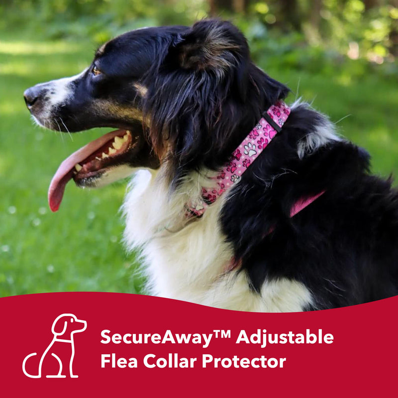 Coastal - Secureaway Flea Collar Protectors 0.625" x 14" Small Multi Paws - PawsPlanet Australia