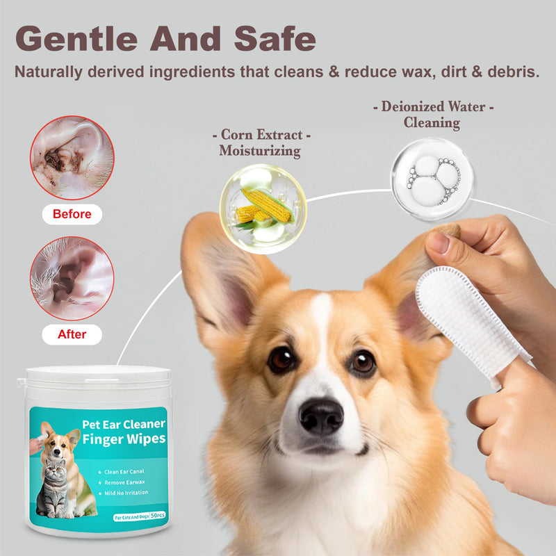 Cat Steam Brush, Dog Brush for Shedding, Pet Spray Hair Removal Comb, Pet Brush for Short & Long Hair, USB Rechargeable Grooming Supplies, Spritz Defur Comb with Finger Wipe for Teeth (White) Pet Brush+Shampoo+Wipes - PawsPlanet Australia