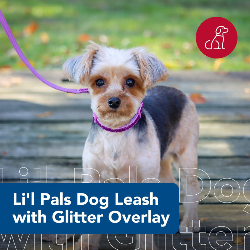 Coastal Pet Li'l Pals Dog Leash with Glitter Overlay - For Walking Small Pets - Ensures Comfortable Stroll - Lightweight Leash with One-Handed E-Z Snap - Orchid Sparkles, 3/8" x6' - PawsPlanet Australia