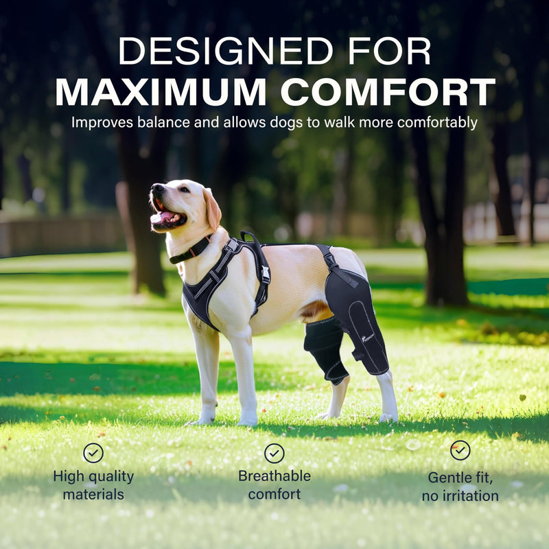 REBORN Dog Double Knee Brace for Torn ACL, CCL & Luxating Patella, Adjustable Back Leg Support & Recovery, Hind Leg Brace for Stability, Arthritis, Injury & Joint Pain Relief, Medium