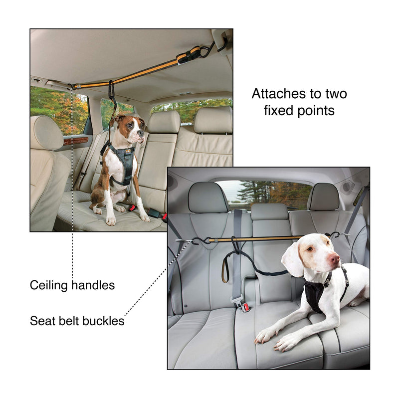 Kurgo Auto Zipline for Dogs, Adjustable Dog Safety Belt Leash, Pet Seat Belt Tether, Reduce Distracted Driving, Includes Zip Line, Leash and Carabiner Clips, 6 feet