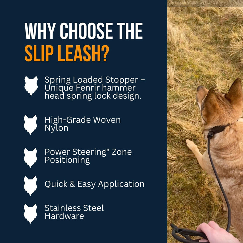 Fenrir Slip Leash 1.4m Professional Dog Training Lead To Stop Pulling, Perfect For Walks, Easy To Use, Spring Loaded Stopper, Light Weight And Durable Black - PawsPlanet Australia