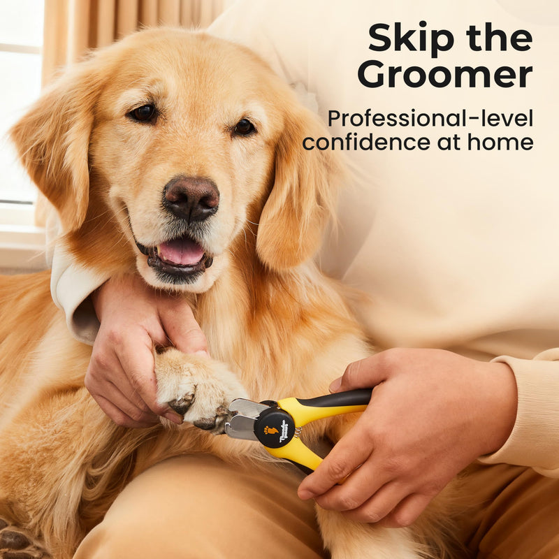 LED Dog Nail Clippers with Light, Trimmers with Protective Guard, Quick Sensor, Safety Lock and Nail File - Suitable for Large and Small Dogs & Cats (Yellow, LED) Medium-Large (LED) Yellow - PawsPlanet Australia
