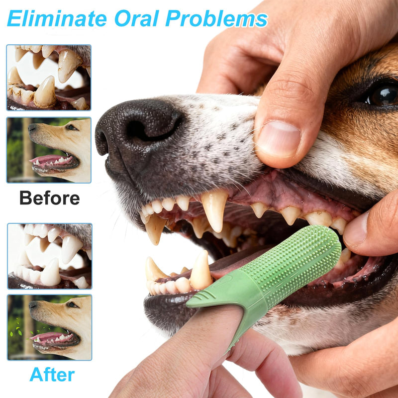 Set of 10 Dog Toothbrushes, 4 Finger Cots Dog Dental Care, 2 Triple Dog Toothbrushes, 4 Double Head Toothbrush for Dogs and Cats, Teeth Cleaning & Halitosis Reducing