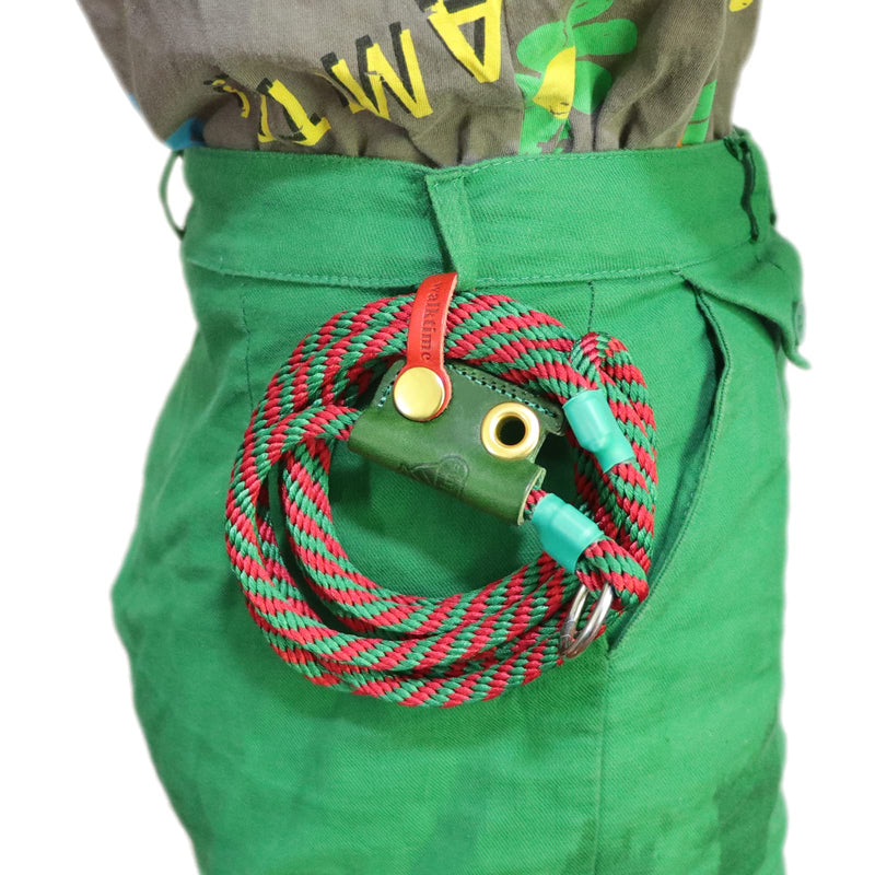 Slip Lead Dog Leash,Dog Harness and Leash Set for Walking - Head Collar with Rope Leashes for Pulling - DIY Dogs Scarf 6ft Dog Leash x 1/4in Thick Green Slider - PawsPlanet Australia