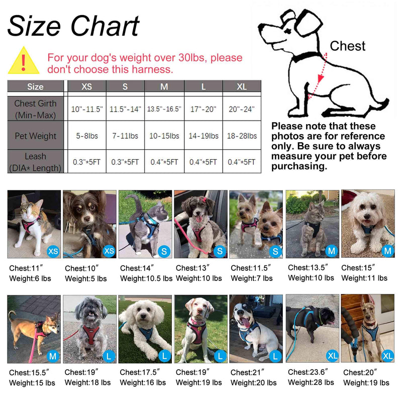 Dog Harness Step-in Breathable Puppy Cat Dog Vest Harnesses for Small Medium Dogs Blue M (Chest 13.5''-16.5'', Weight 10-15 lb) - PawsPlanet Australia