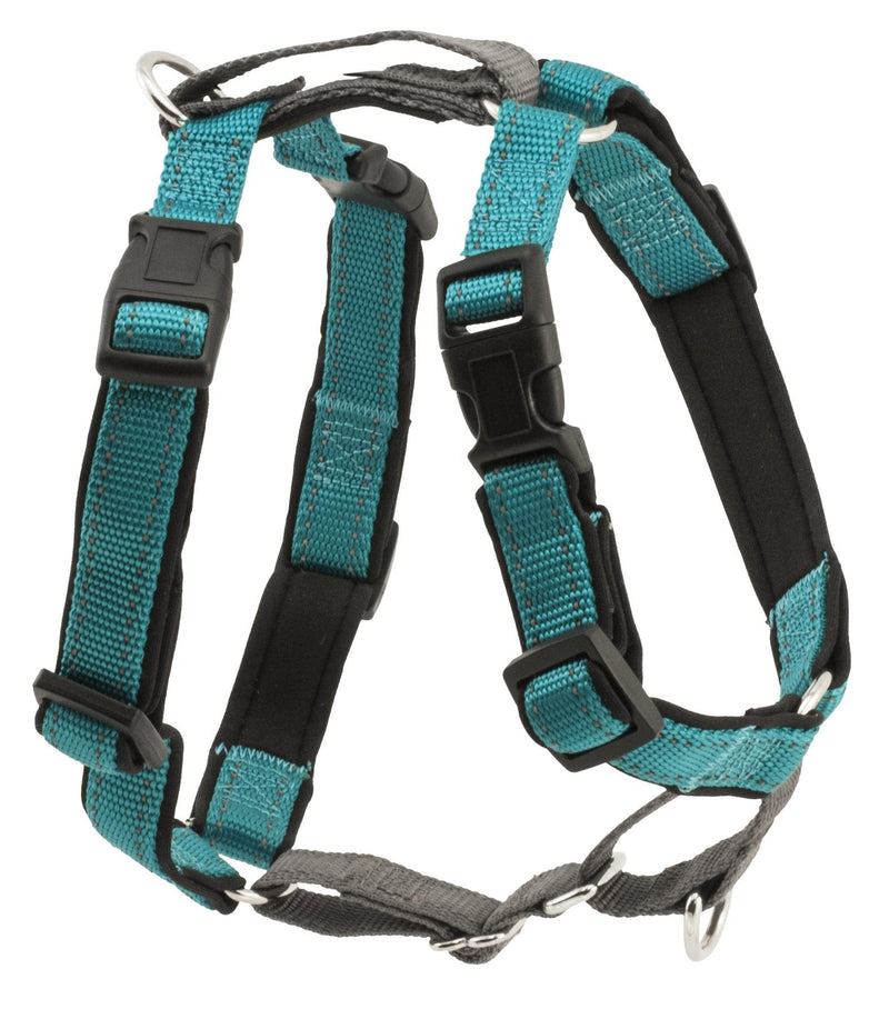 PetSafe 3 in 1 Dog Harness - No Pull Solution for Dogs - Reflective Dog Harness - Front D-Ring Clip Helps Stop Pulling - Comfortable Padded Straps - Top Handle Enhances Control - Teal - Extra Small