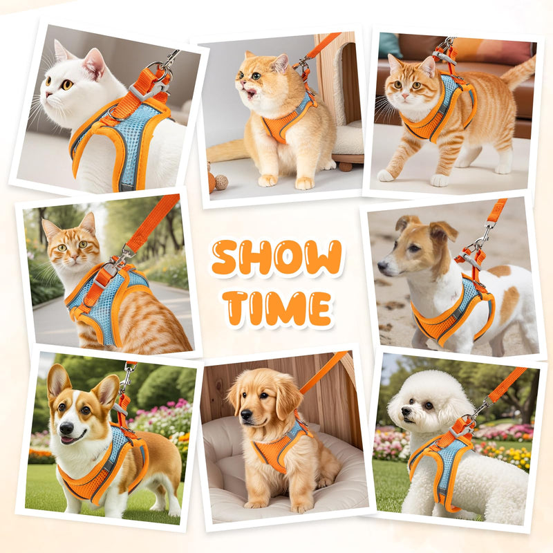 【Escape-Proof Guarantee】 Jieffifa Cat Harness and Leash Set - Adjustable Soft Vest, Reflective Step-in Design for Safe Walking (XXS, Orange/Blue) Orange/bule - PawsPlanet Australia