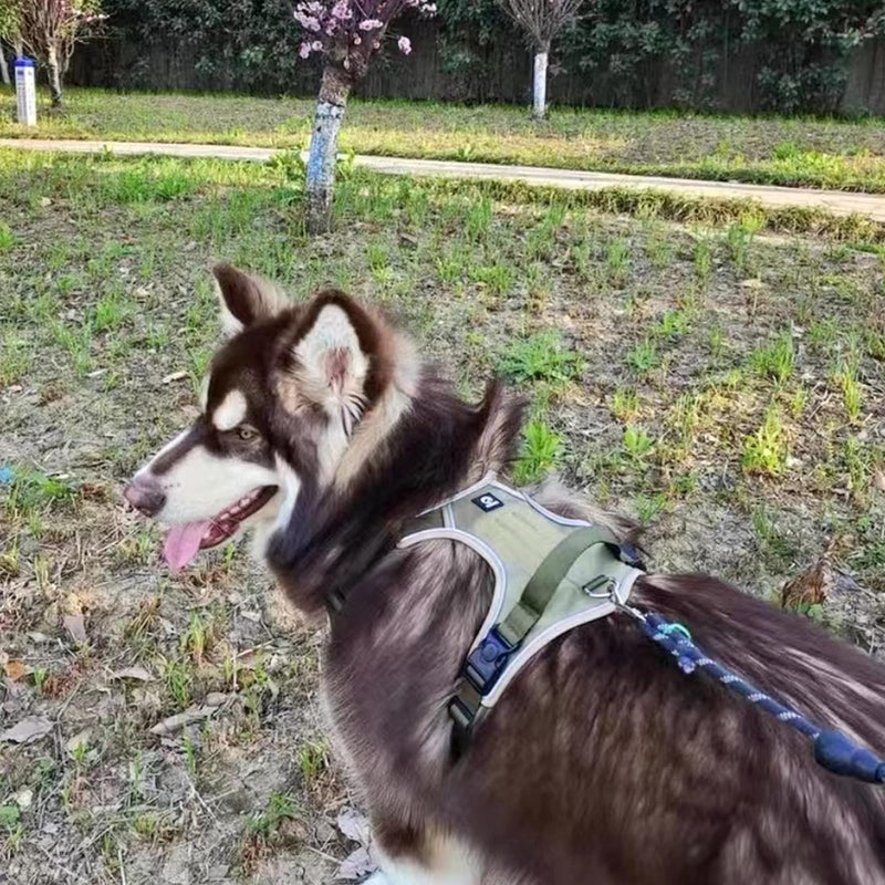 Dog Harness, Pet Harness with Leash,Adjustable Soft Padded Dog Vest, Reflective No-Choke Pet Oxford Vest for Small Medium Large Dogs, Strong and Durable Pet Carrier (Khaki Color, Small) Khaki Color - PawsPlanet Australia