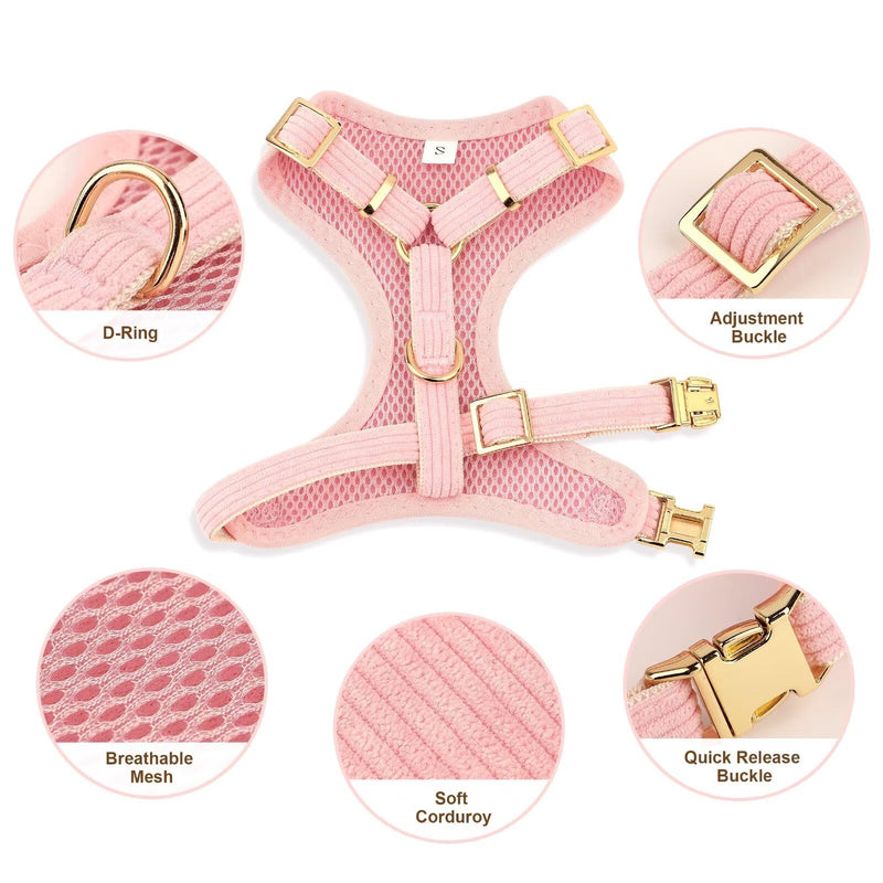 Didog Cute Small Dog Collar Harness & Leash Set, Adjustable Dog Collars and Leashes with Bowtie, Breathable Soft Mesh Padded Dog Vest for Puppies Small Dogs Walking,Pink, M M: Neck 13-22", Chest 16-21" Pink - PawsPlanet Australia