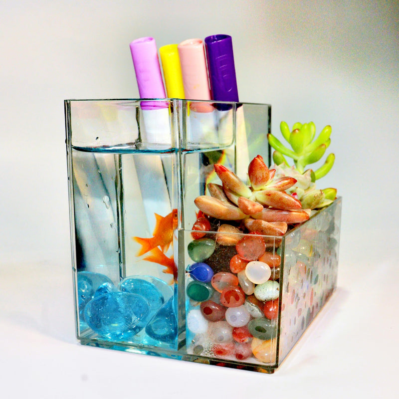 Mini Clear Acrylic Fish Tank Kit,Multifunctional Desk Aquarium Set or Pen Holder Makeup Brush Holder,Aquarium Micro Landscape Box with Tools,2 Pieces 3 compartment desk aquarium - PawsPlanet Australia