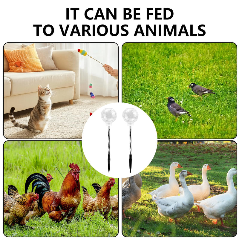 2PC Chicken Pecking Toy, Poultry Enrichment Feeder Toys, Slow Feeder Ball & Coop Activity Toys Courtyard Outdoor Decoration for Hens & Birds, Chicken Coop Accessories to Prevent Boredom - PawsPlanet Australia